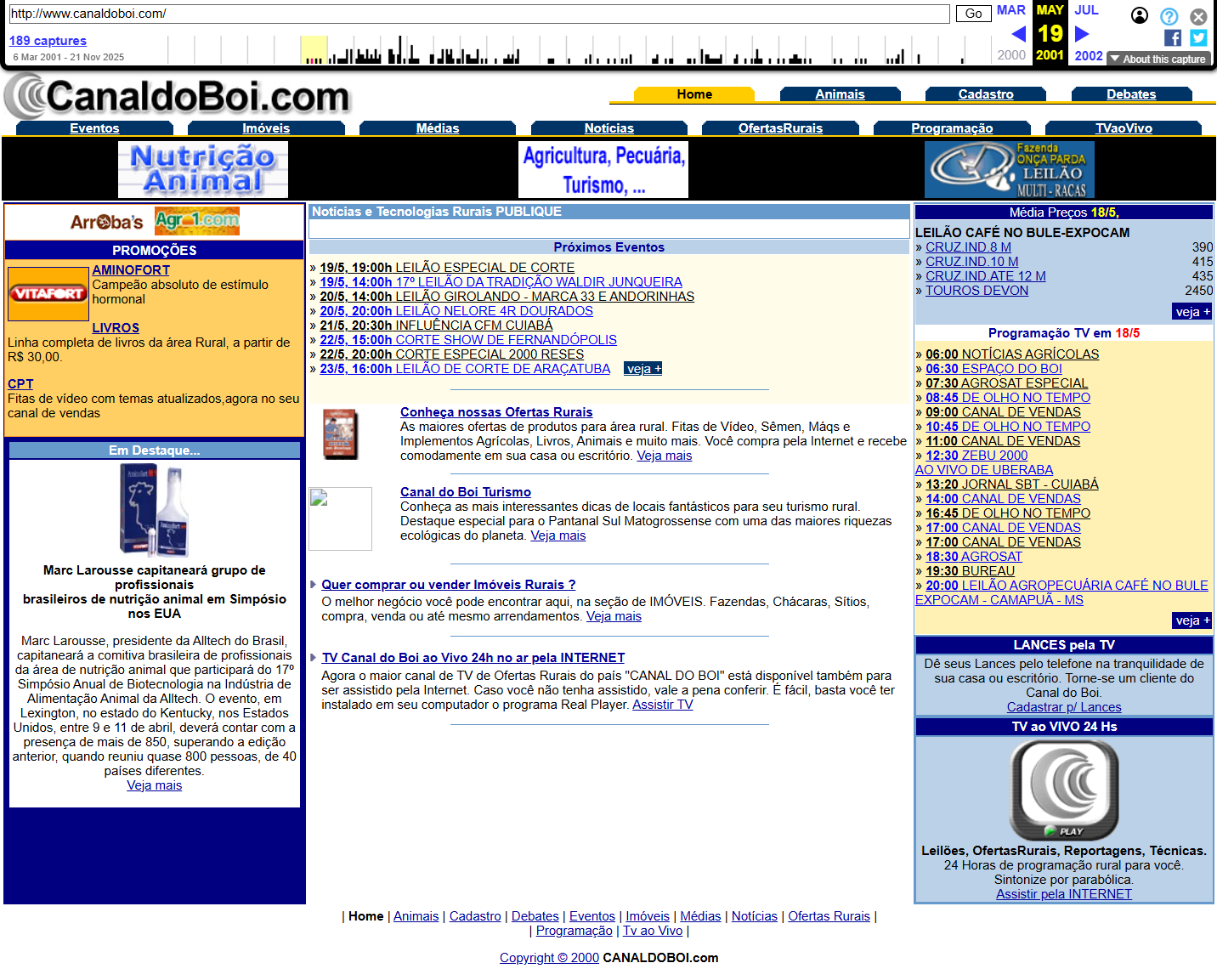 Website screenshot from 2001